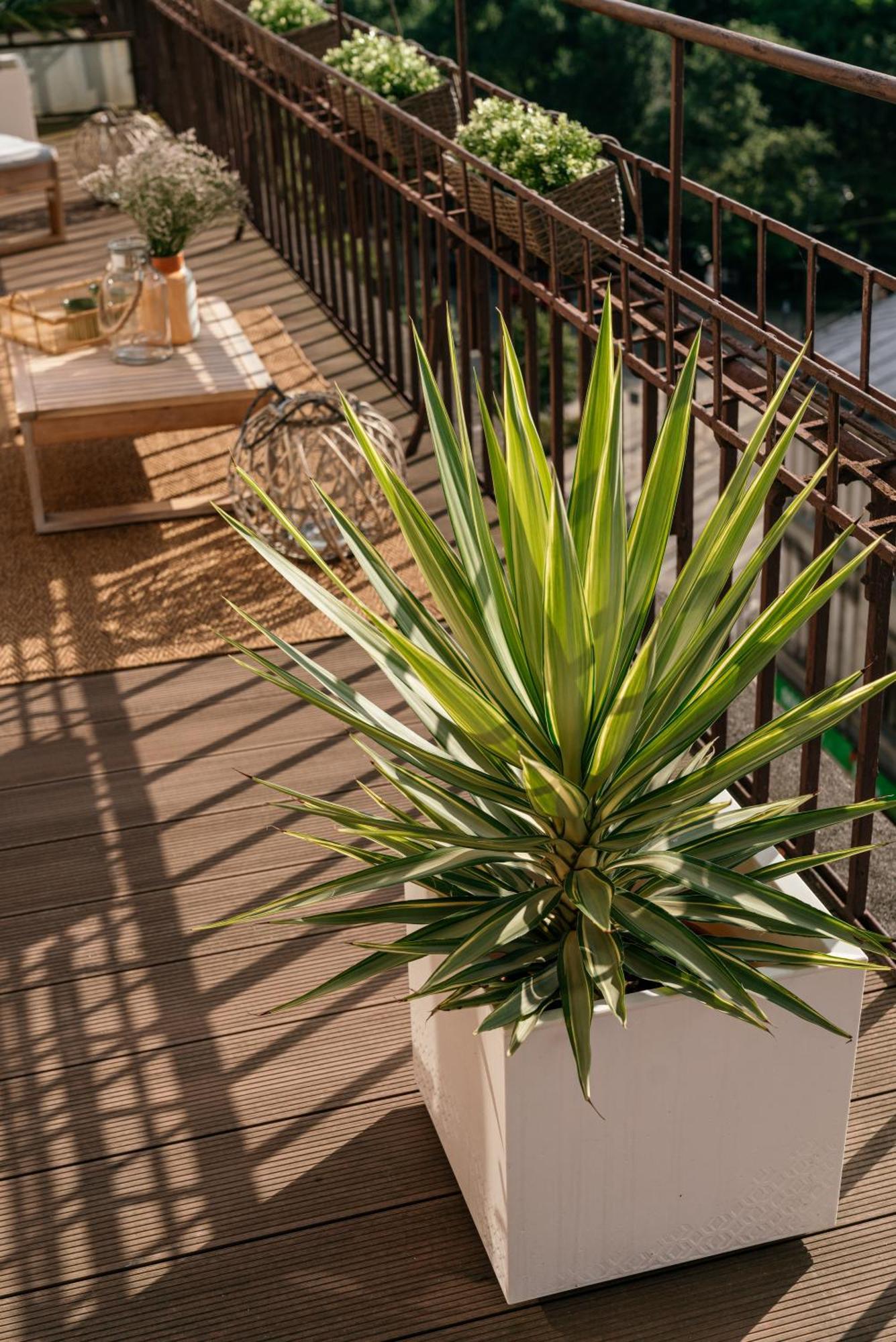 Penthouse Panorama - Loftaffair Apartment Krasków Exterior foto